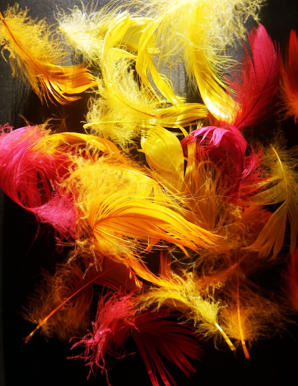 1/4 Lb - 2-3" Antique Gold Goose Coquille Loose Wholesale Feathers (Bulk)