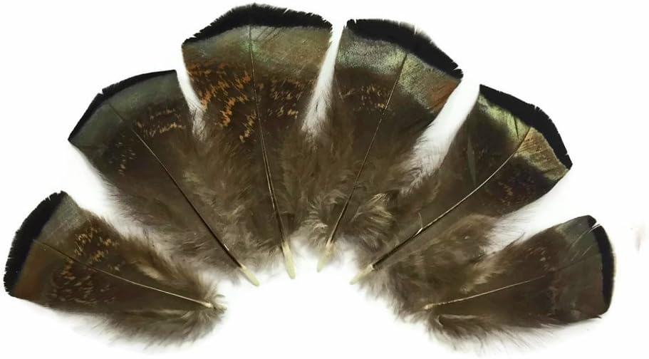 5 Pieces - Small Wild Bronze Turkey Flats Feathers