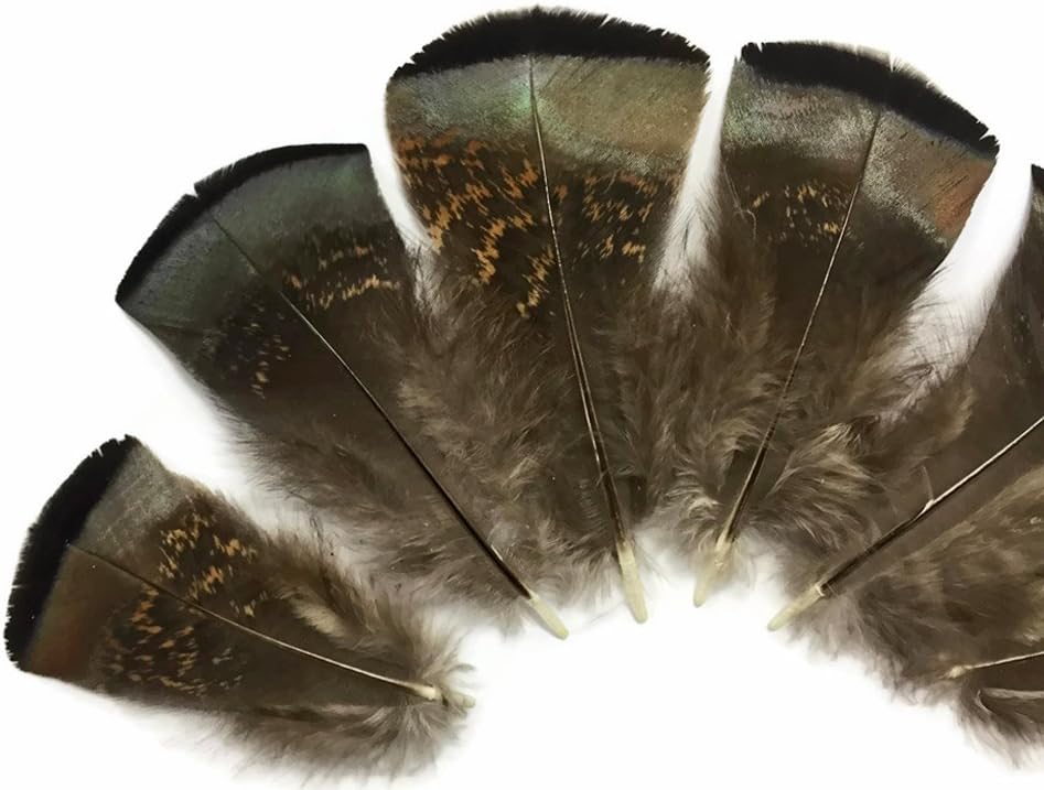 5 Pieces - Small Wild Bronze Turkey Flats Feathers