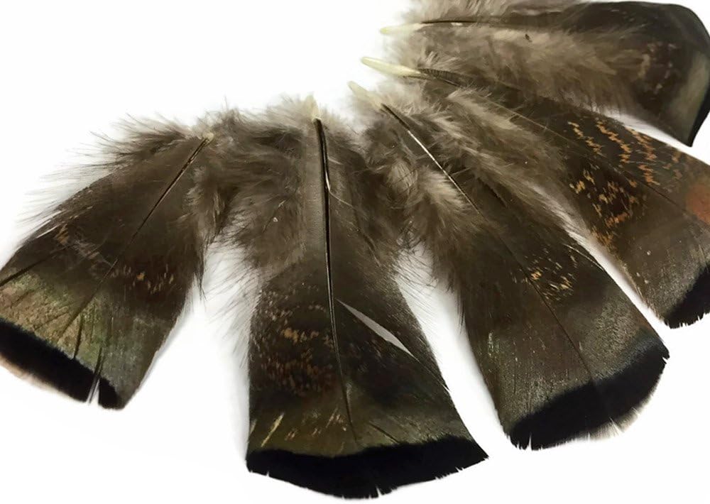 5 Pieces - Small Wild Bronze Turkey Flats Feathers
