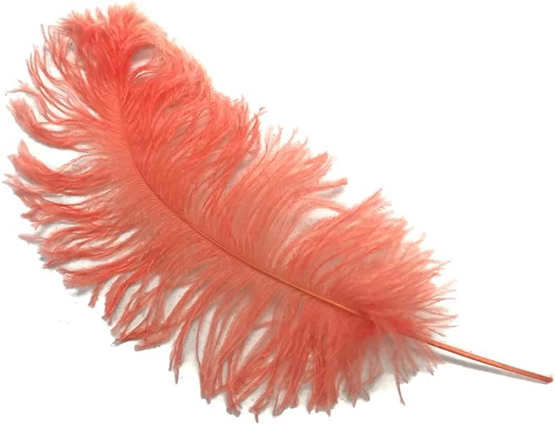 10 Pieces -  12-16" Apricot Dyed Ostrich Tail Fancy Feathers