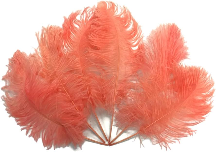 10 Pieces -  12-16" Apricot Dyed Ostrich Tail Fancy Feathers