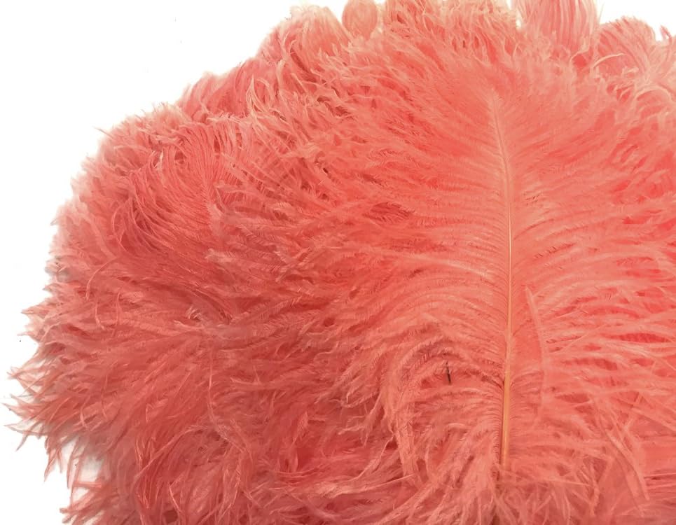10 Pieces -  12-16" Apricot Dyed Ostrich Tail Fancy Feathers