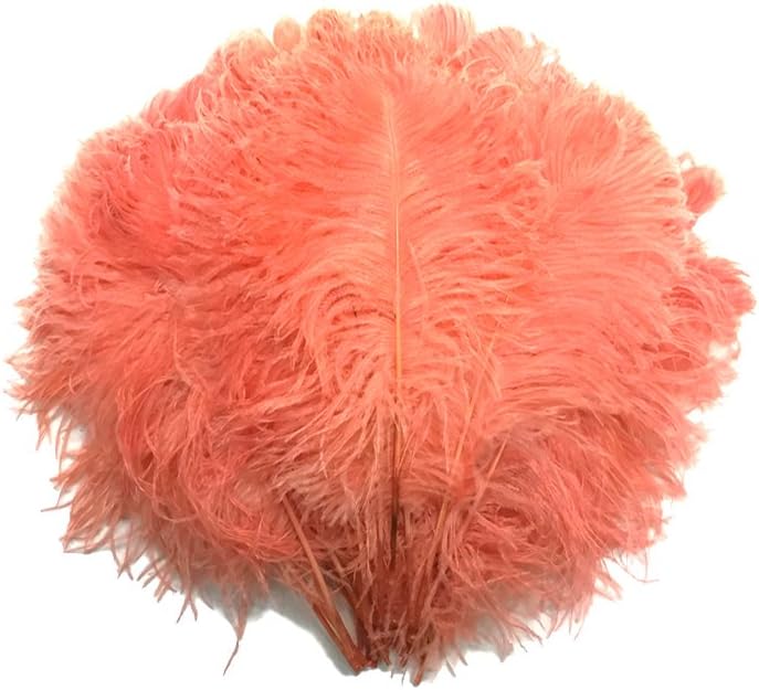 10 Pieces -  12-16" Apricot Dyed Ostrich Tail Fancy Feathers