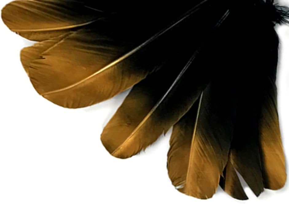 6 Pieces - Gold Tipped Metallic Spray Painted White "Imitation Eagle" Turkey Tom Rounds Secondary Wing Quill Feathers