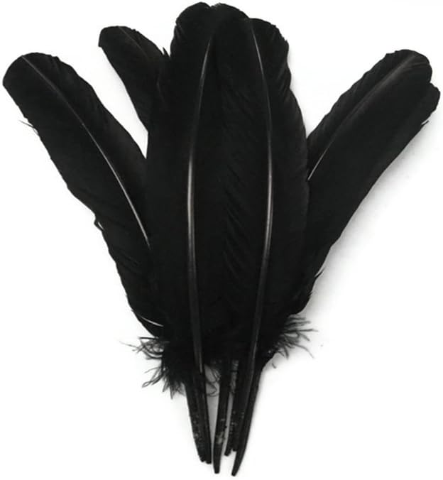 10 Lbs. - Black Turkey Rounds Secondary Wing Quill Wholesale Feathers (Bulk)