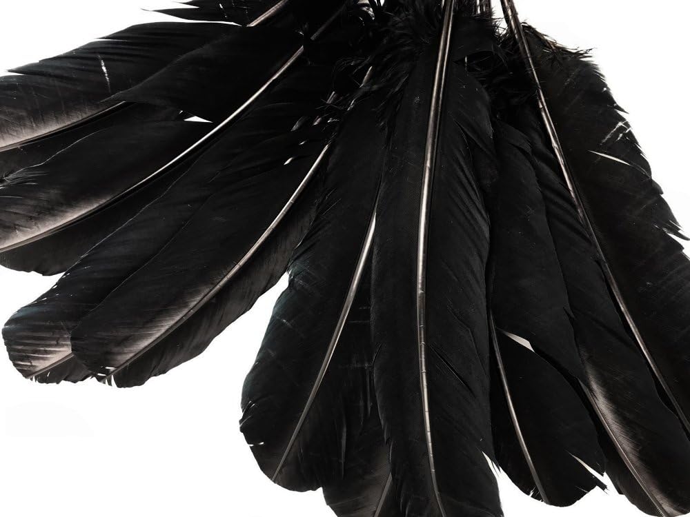 1 Lb. - Black Turkey Tom Rounds Secondary Wing Quill Wholesale Feathers (Bulk)