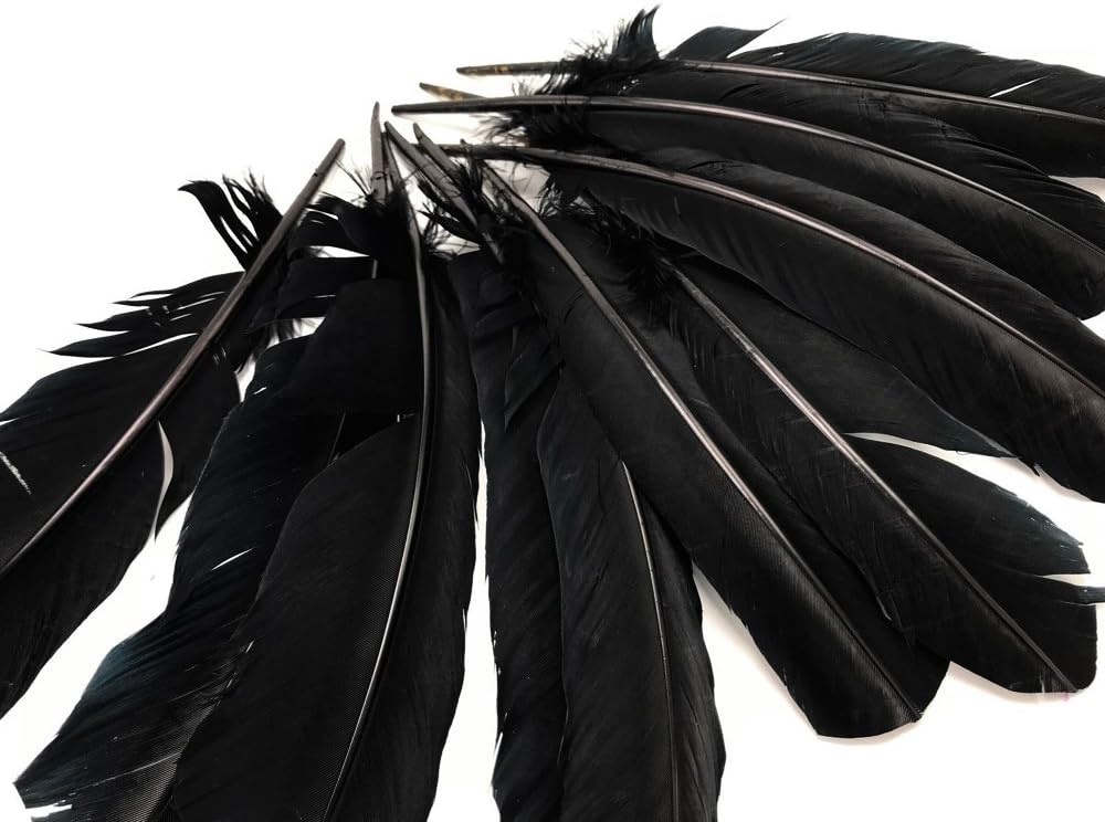 10 Lbs. - Black Turkey Rounds Secondary Wing Quill Wholesale Feathers (Bulk)