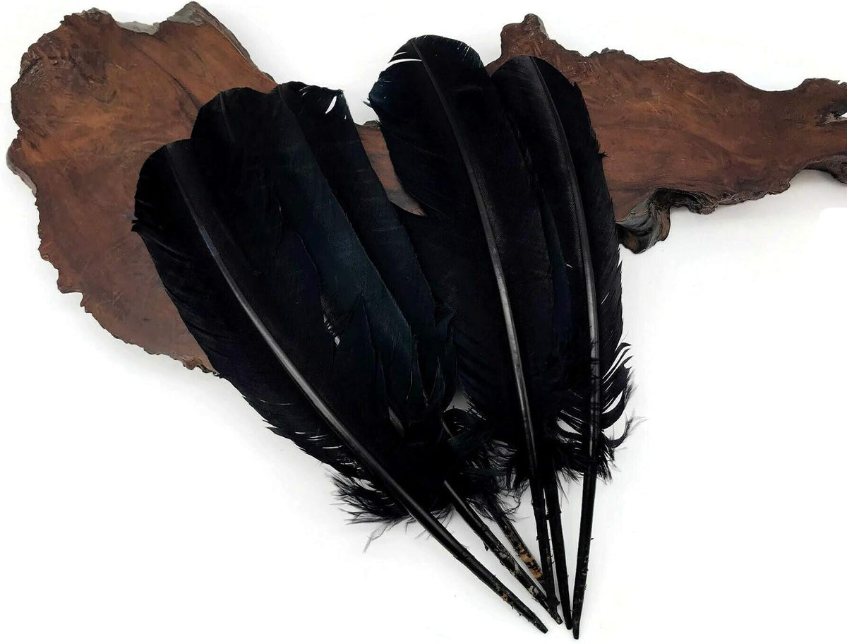 10 Lbs. - Black Turkey Rounds Secondary Wing Quill Wholesale Feathers (Bulk)
