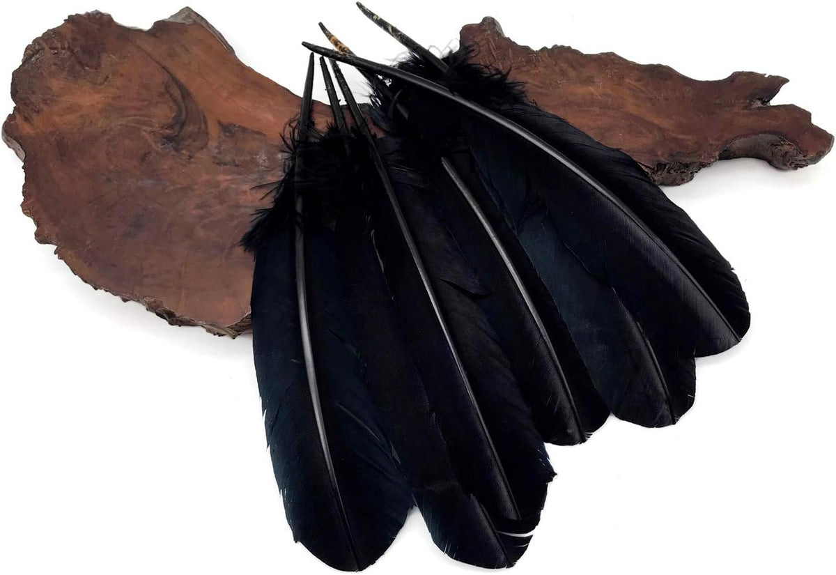1 Lb. - Black Turkey Tom Rounds Secondary Wing Quill Wholesale Feathers (Bulk)