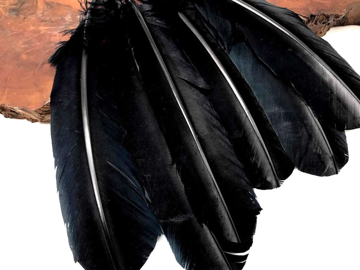 10 Lbs. - Black Turkey Rounds Secondary Wing Quill Wholesale Feathers (Bulk)