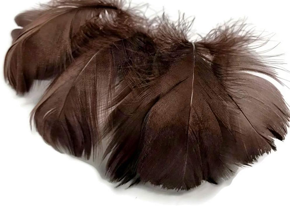 1/4 Lb - 2-3" Brown Goose Coquille Loose Wholesale Feathers (Bulk)