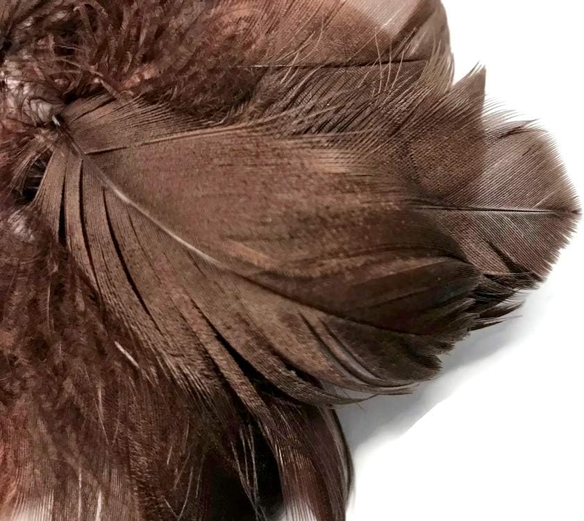 1/4 Lb - 2-3" Brown Goose Coquille Loose Wholesale Feathers (Bulk)