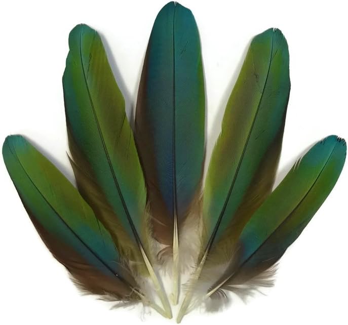 4 Pieces - Iridescent Green And Yellow Greenwing Macaw Small Wing Feathers -Rare-