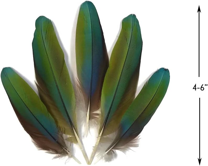 4 Pieces - Iridescent Green And Yellow Greenwing Macaw Small Wing Feathers -Rare-