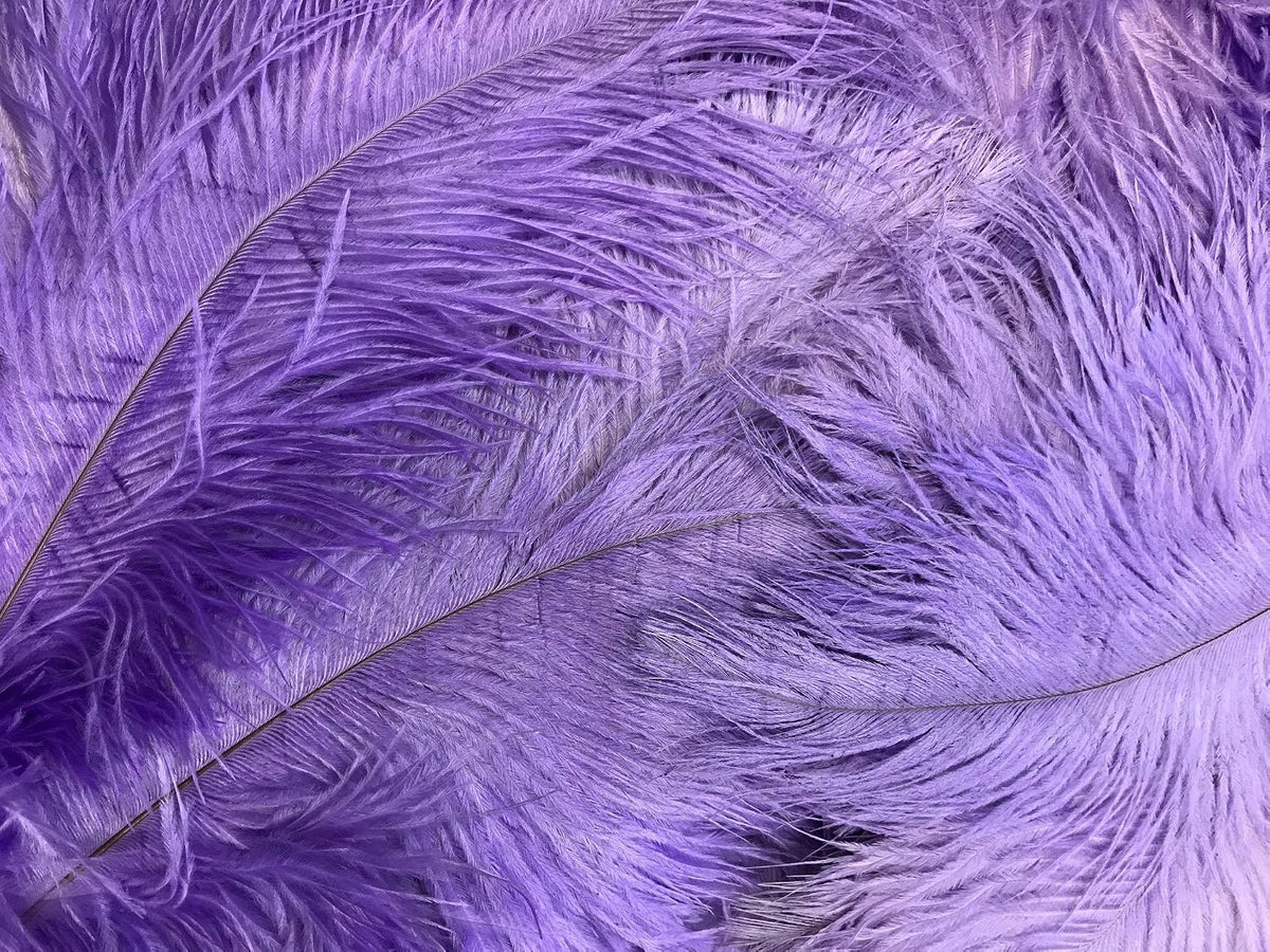 1/2 lb. - 14-17" Lavender Ostrich Large Body Drab Wholesale Feathers (Bulk)