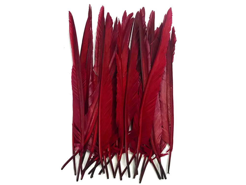 1/4 Lb. - Burgundy Goose Pointers Long Primaries Wing Wholesale Feathers (Bulk)
