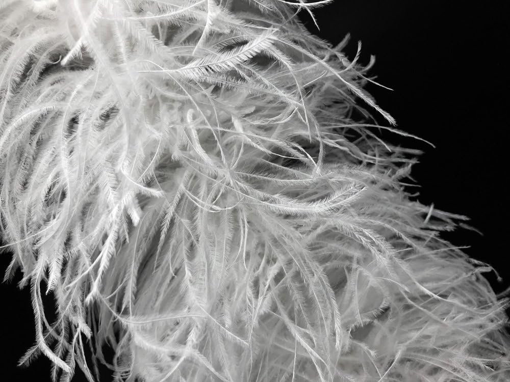 2 Yards - Snow White 2 Ply Ostrich Medium Weight Fluffy Feather Boa