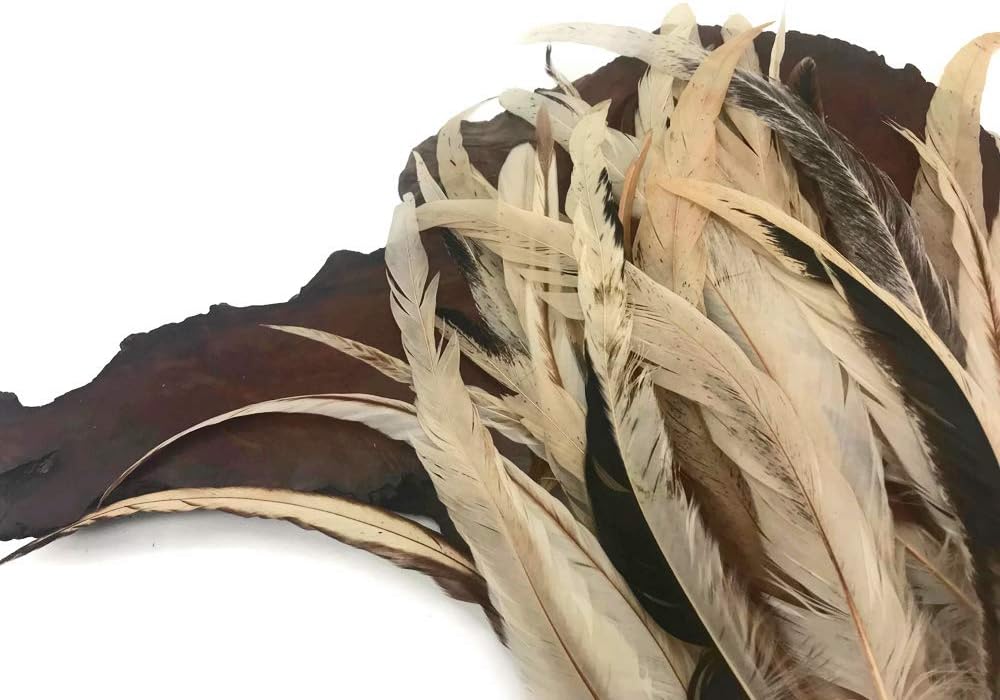 Wholesale Pack - 8-12" Natural Beige Mix Coque Tail Strung Rooster Feathers 2 Oz. (Bulk)