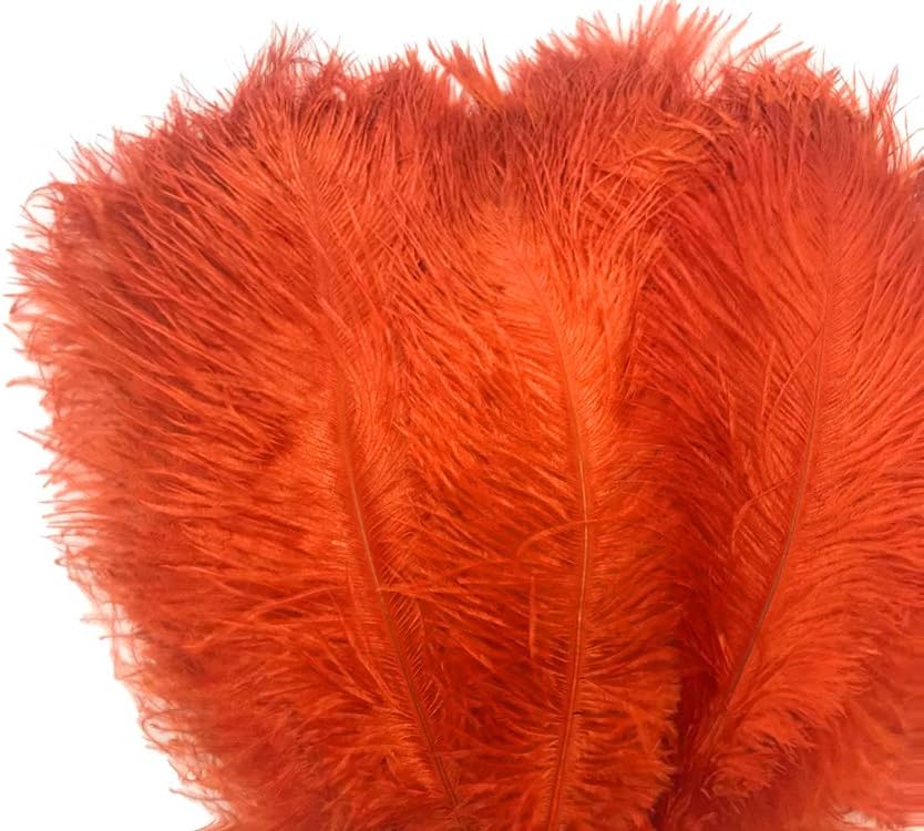 10 Pieces - 14-17" Burnt Orange Ostrich Dyed Drab Body Feathers