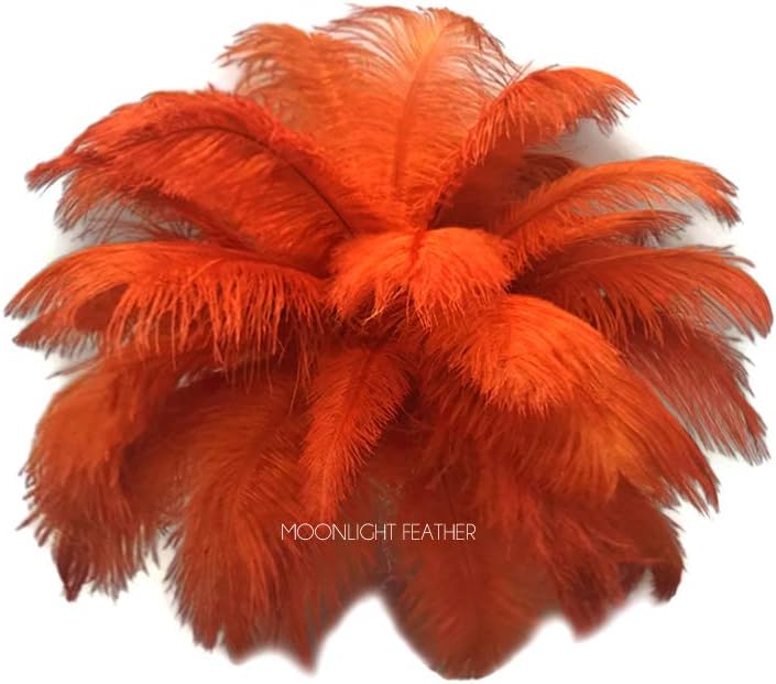 10 Pieces - 14-17" Burnt Orange Ostrich Dyed Drab Body Feathers