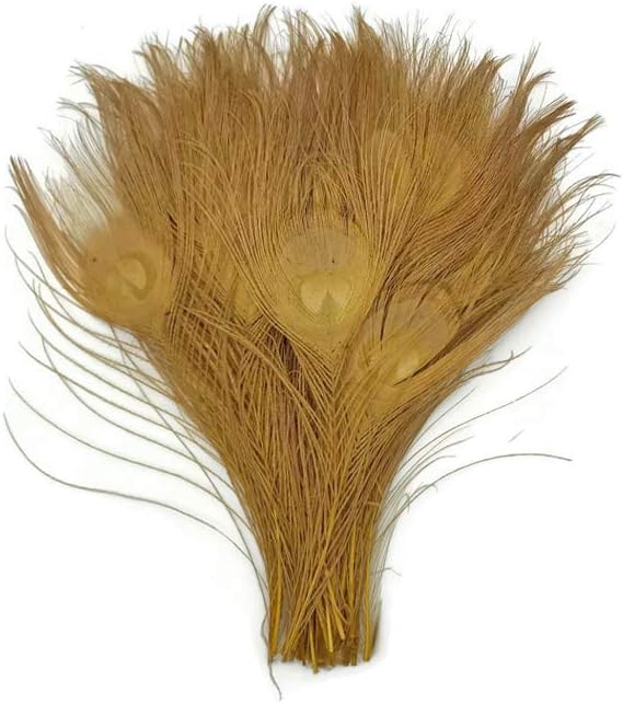 50 Pieces – Dusty Gold Bleached & Dyed Peacock Tail Eye Wholesale Feathers (Bulk) 10-12” Long