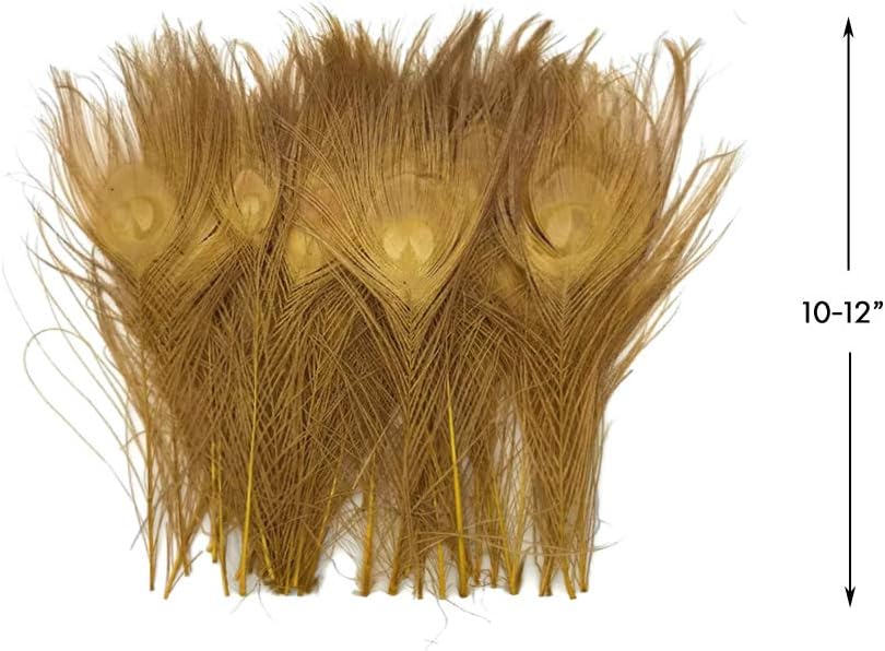 5 Pieces – Dusty Gold Bleached & Dyed Peacock Tail Eye Feathers 10-12” Long