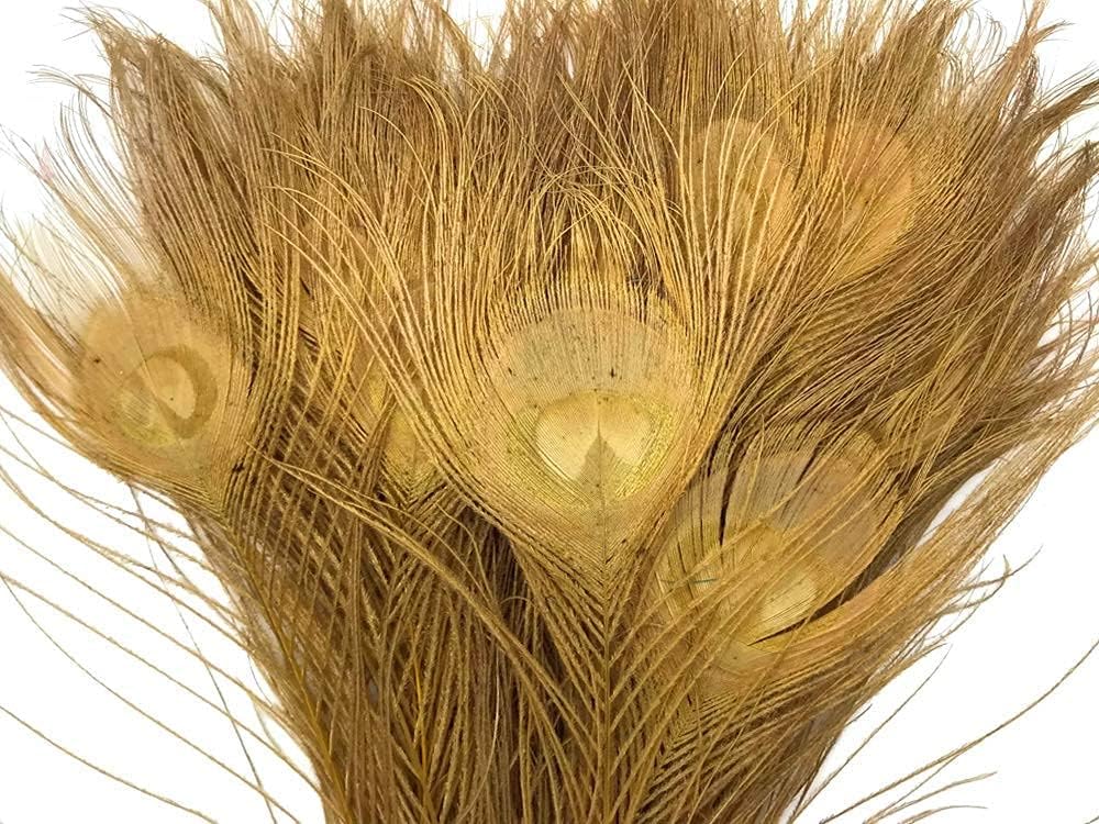 50 Pieces – Dusty Gold Bleached & Dyed Peacock Tail Eye Wholesale Feathers (Bulk) 10-12” Long