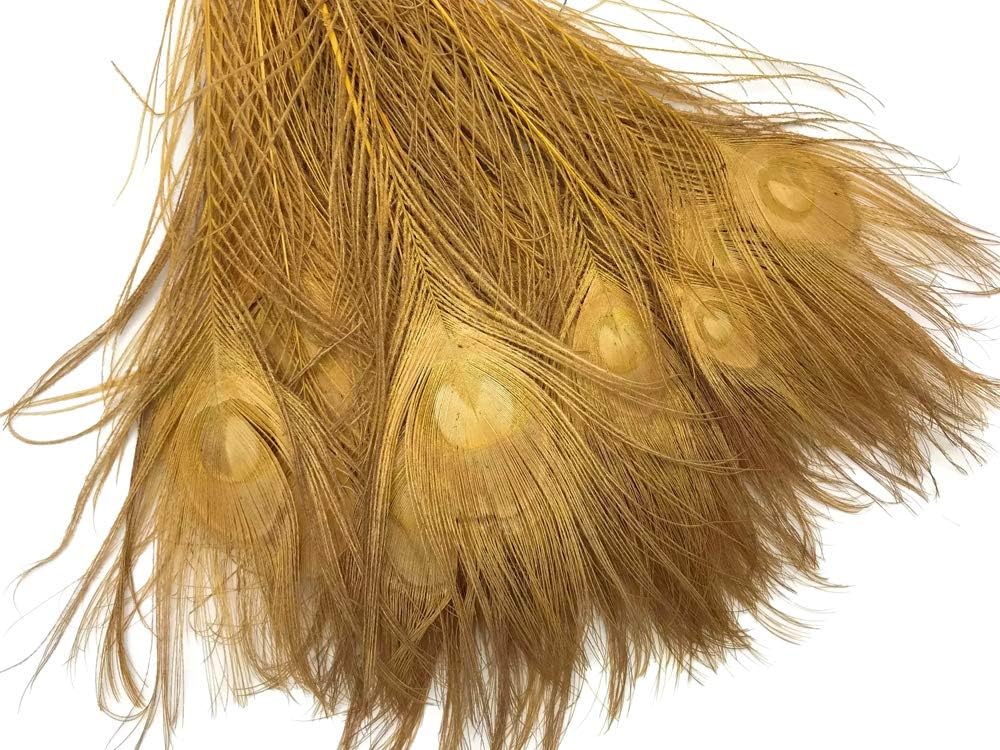 5 Pieces – Dusty Gold Bleached & Dyed Peacock Tail Eye Feathers 10-12” Long
