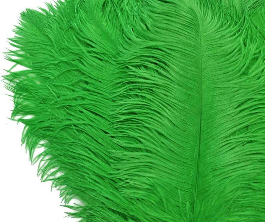 10 Pieces - 14-17" Light Green Ostrich Dyed Drab Body Feathers