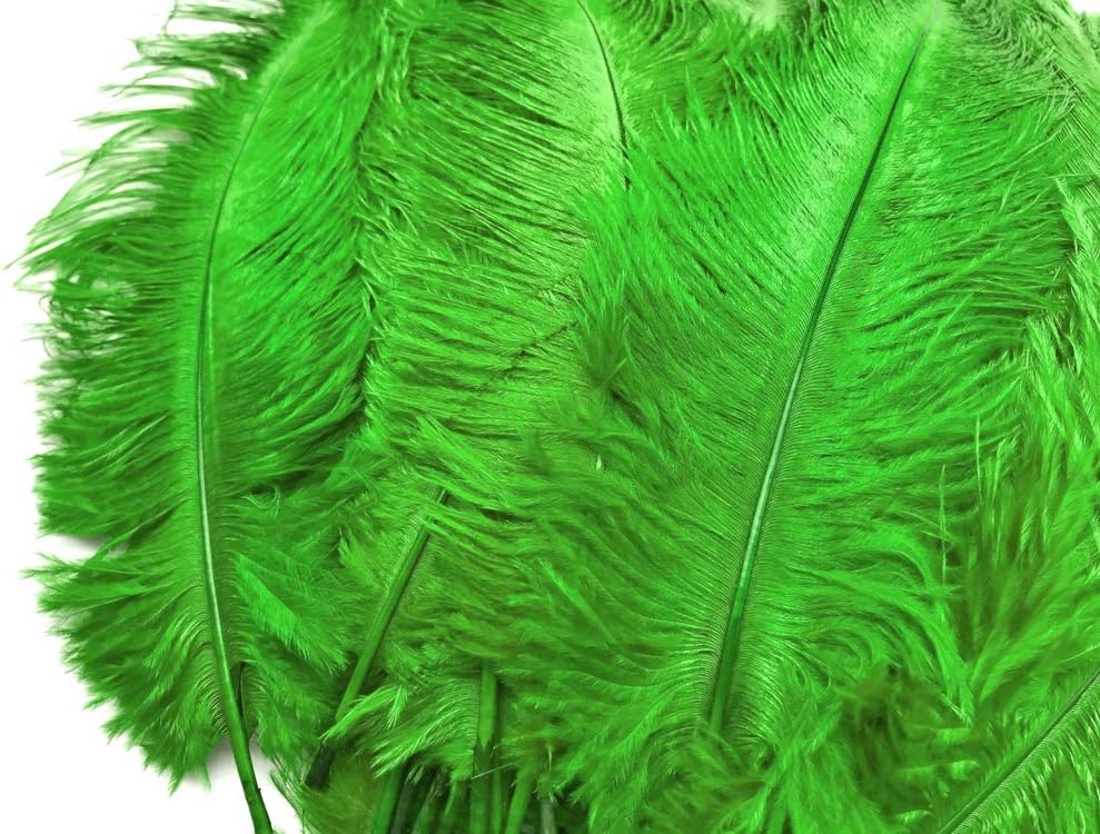 10 Pieces - 14-17" Light Green Ostrich Dyed Drab Body Feathers