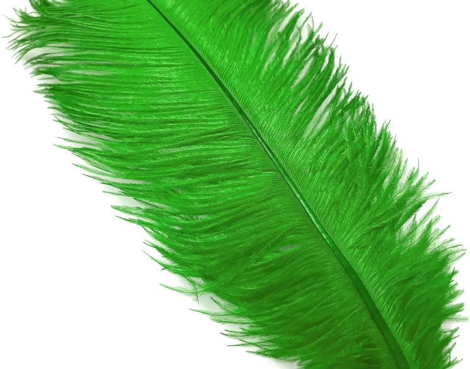 10 Pieces - 14-17" Light Green Ostrich Dyed Drab Body Feathers