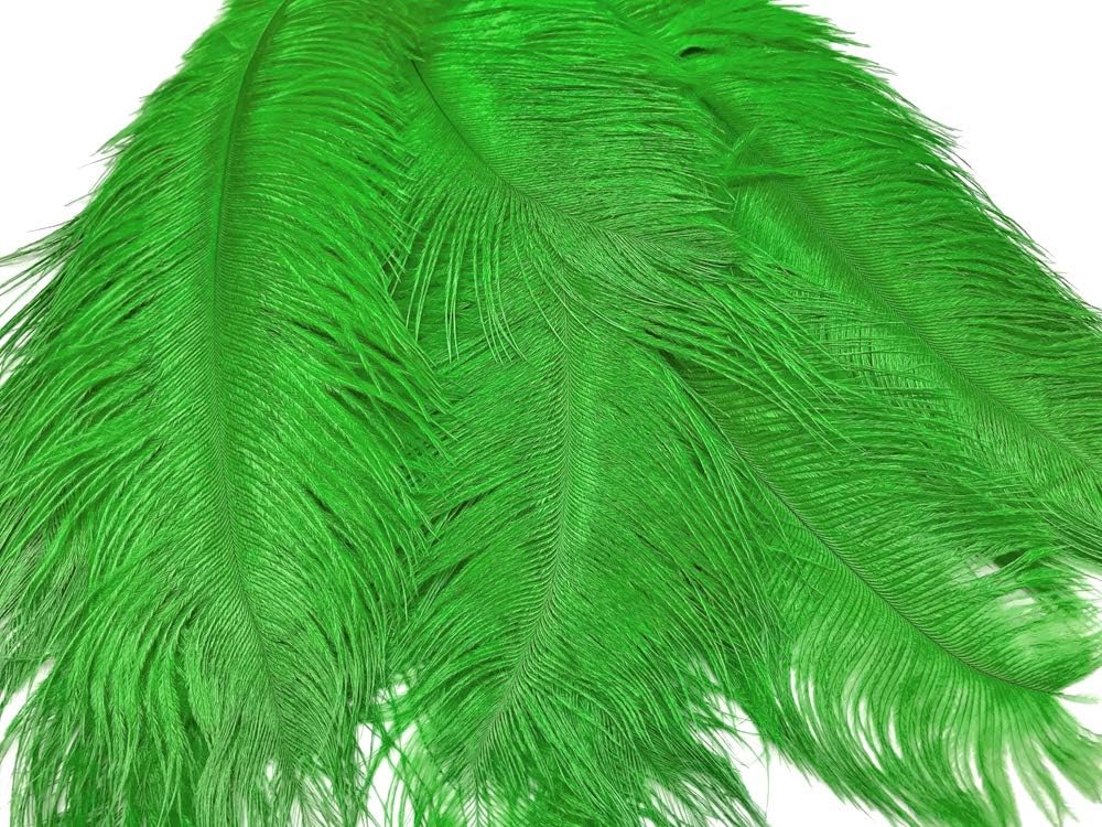 10 Pieces - 14-17" Light Green Ostrich Dyed Drab Body Feathers