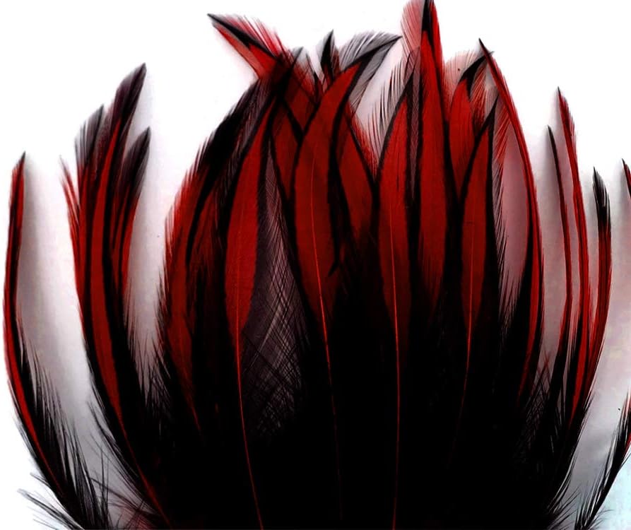 10 Pieces - Claret Dyed BLW Laced Long Rooster Cape Whiting Farms Feathers