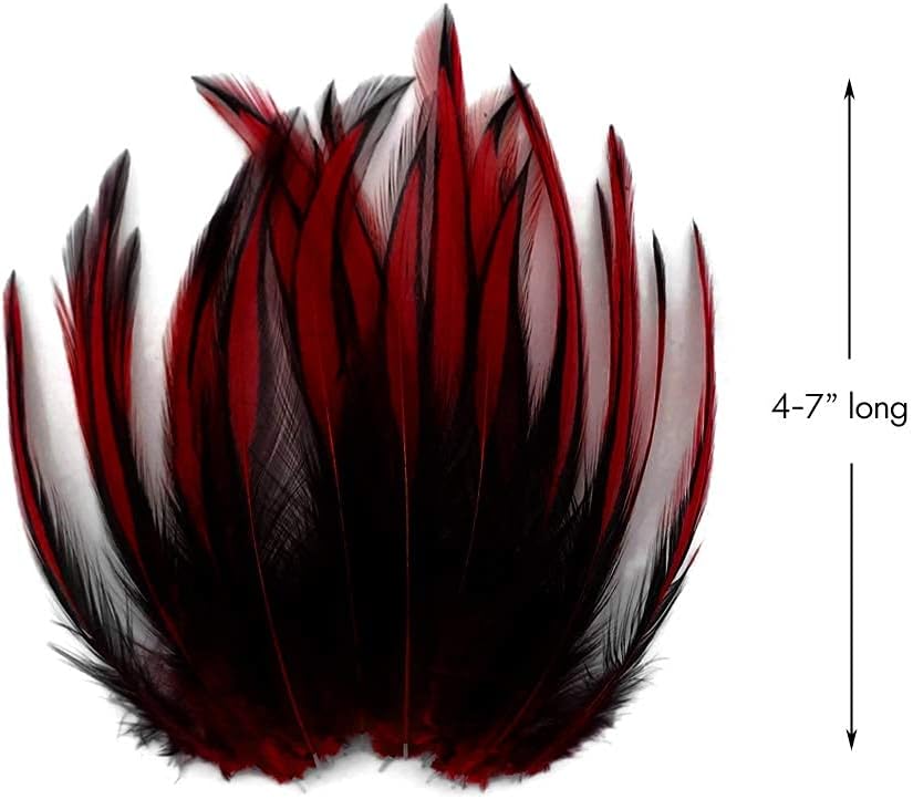 10 Pieces - Claret Dyed BLW Laced Short Rooster Cape Whiting Farms Feathers