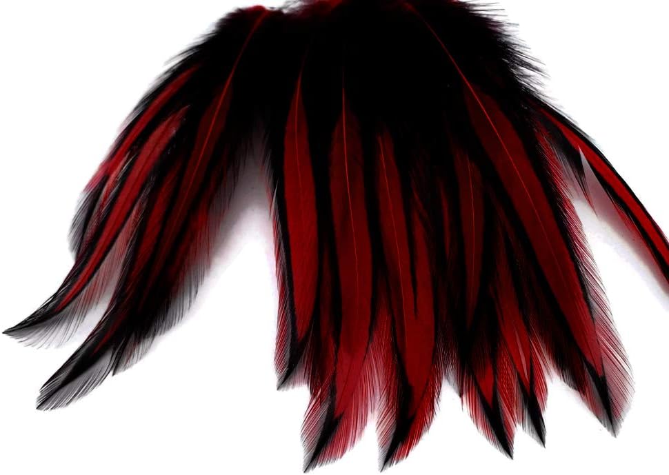 10 Pieces - Claret Dyed BLW Laced Short Rooster Cape Whiting Farms Feathers