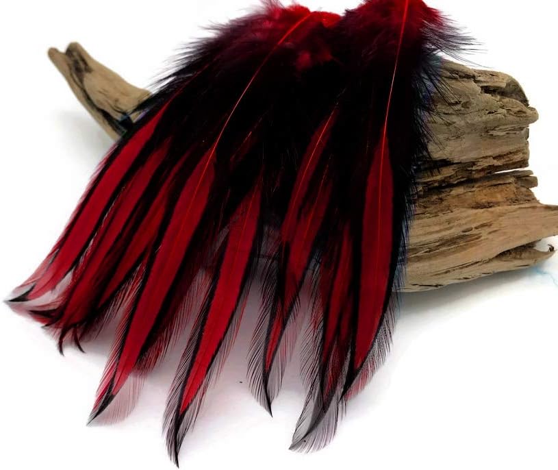 10 Pieces - Claret Dyed BLW Laced Long Rooster Cape Whiting Farms Feathers