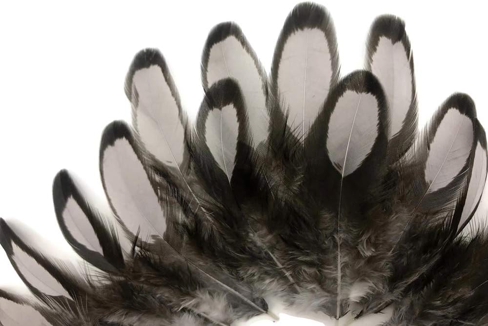 1 Dozen - Heron Gray Whiting Farms Laced Hen Saddle Feathers