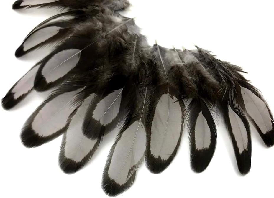 1 Dozen - Heron Gray Whiting Farms Laced Hen Saddle Feathers