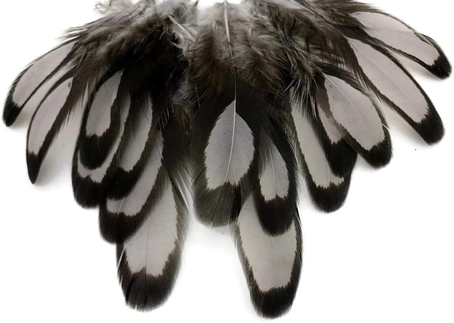 1 Dozen - Heron Gray Whiting Farms Laced Hen Saddle Feathers