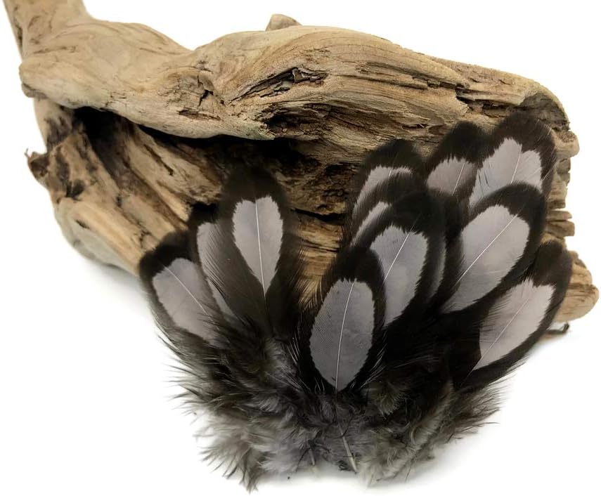 1 Dozen - Heron Gray Whiting Farms Laced Hen Saddle Feathers