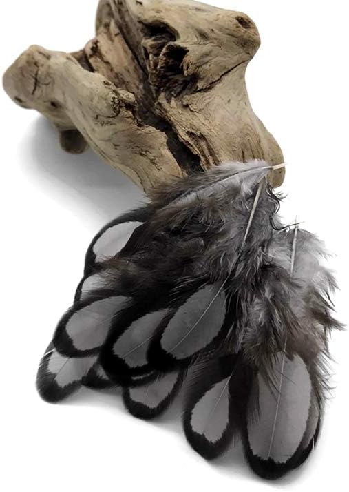 1 Dozen - Heron Gray Whiting Farms Laced Hen Saddle Feathers