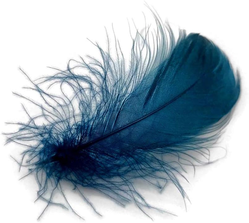 1 Pack - 2-3" Teal Blue Goose Coquille Loose Feathers - 0.35 Oz.