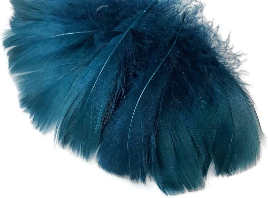 1/4 Lb - 2-3" Teal Blue Goose Coquille Loose Wholesale Feathers (Bulk)