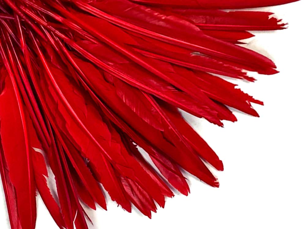 10 Pieces - Red Goose Pointers Long Primaries Wing Feathers