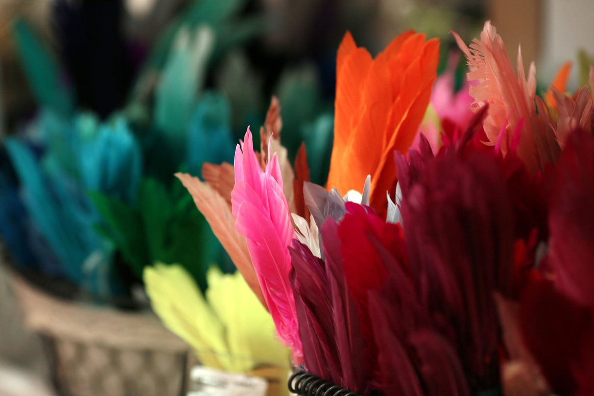 1/4 Lb. - Antique Gold Goose Pointers Long Primaries Wing Wholesale Feathers (Bulk)