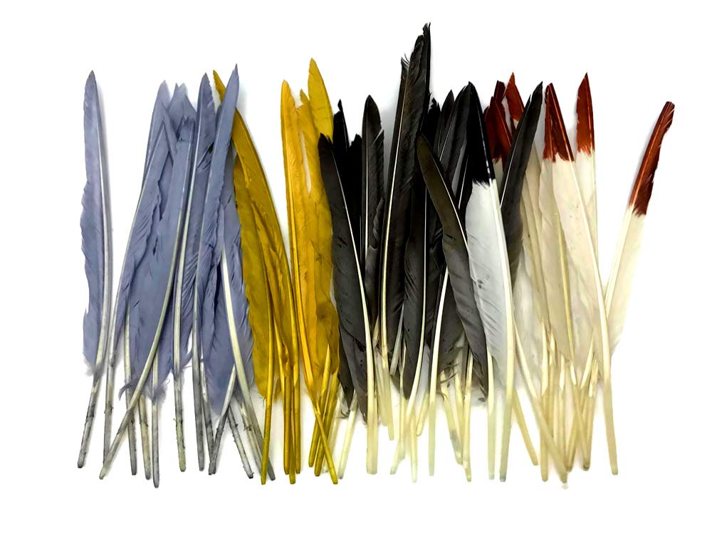 10 Pieces - White Tipped Black Goose Pointers Long Primaries Wing Feathers