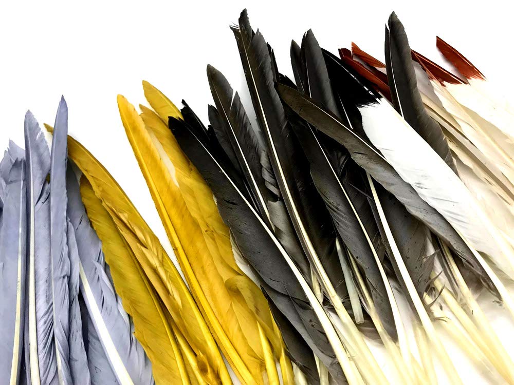 1/4 Lb. - White Tipped Black Goose Pointers Long Primaries Wing Wholesale Feathers (Bulk)