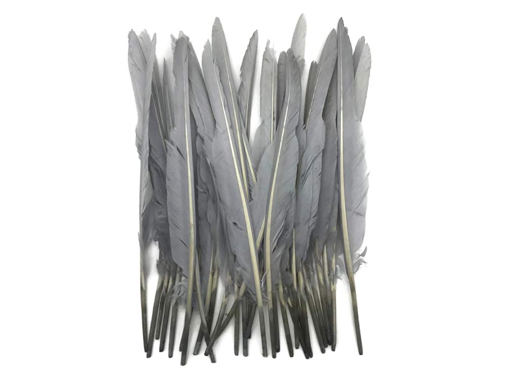 1/4 Lb. - Silver Gray Goose Pointers Long Primaries Wing Wholesale Feathers (Bulk)