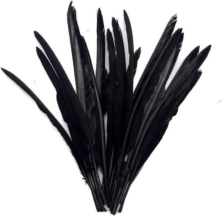 1/4 Lb. - Black Goose Pointers Long Primaries Wing Wholesale Feathers (Bulk)